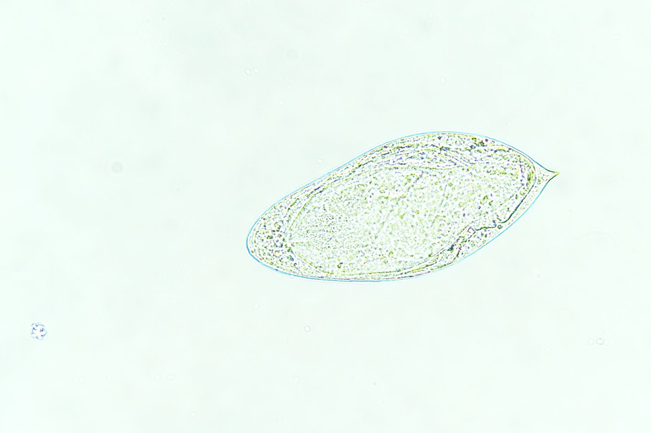 image (4)